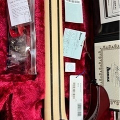 Ibanez j.costom RG8870 AGT