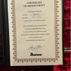 Ibanez j.costom RG8870 AGT