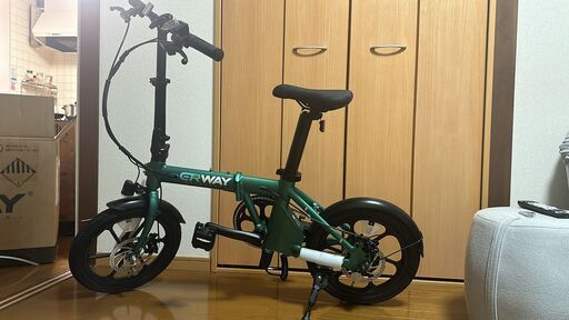 ERWAY 電動自転車 折りたたみ 電動アシスト自転車 16インチ 【公道可】最大100km走行可能 A01 Lite