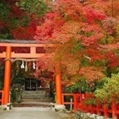 関西で神社巡りしましょう。