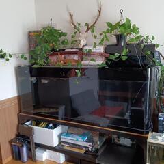 1800 ＯＦ水槽と台のセット