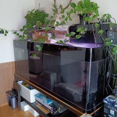 1800 ＯＦ水槽と台のセット