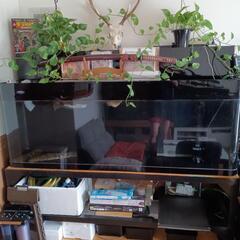 1800 ＯＦ水槽と台のセット