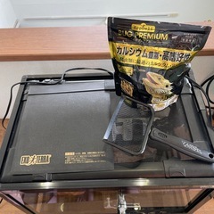 トカゲ、カナヘビ、爬虫類ゲージ