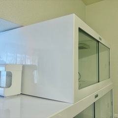 爬虫類ケージ SNUGLE スナグル 超美品 暖突、観賞用LED付き 9/28まで！