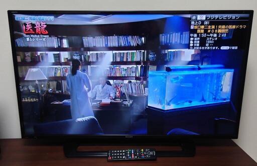 テレビ