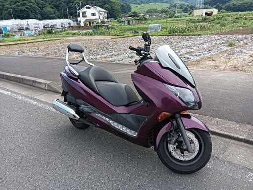 【取引中】フォルツァ　ＭＦ１０ 2008年