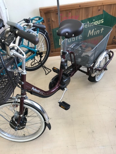 Peltech 20インチ電動アシスト自転車 XL21054269