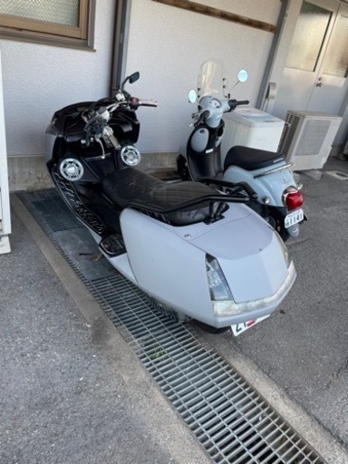 マグザム250