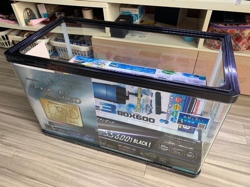 値下げ再出品】新品水槽60cm5点セット+おまけ付き3点 - その他 