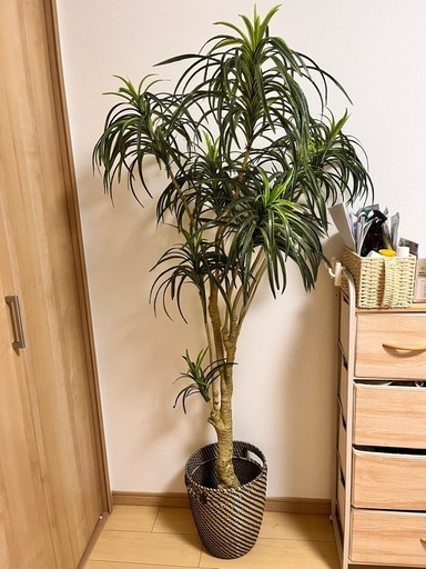 観葉植物　造花　フェイクグリーン