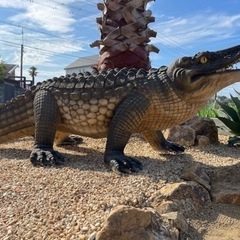 ワニ フィギュア ロックガーデン
   