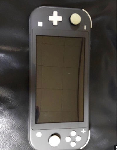 Switchライト本体