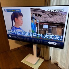 Panasonic VIERA TH-65LX800 [65インチ] オートAI画質を備えたLX800