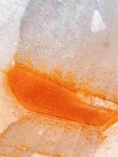 【大特価】中国産ブラインシュリンプエッグ  420g