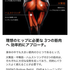 シックスパッド　ボトムベルト