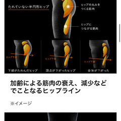 シックスパッド　ボトムベルト