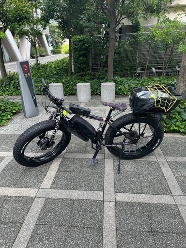 電動アシスト自転車 bronx trx evo