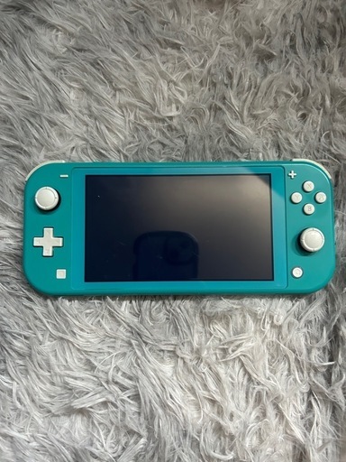 その他 Switch\n