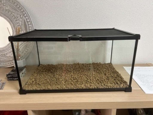 爬虫類ケージ　ガラス