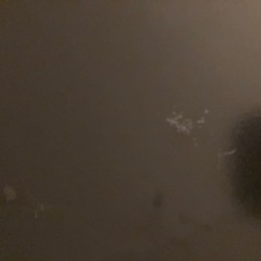 お盆　トレー　配膳用品　お祝い