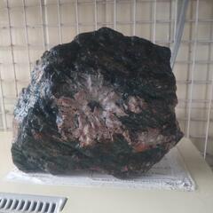 自然の美・菊花石