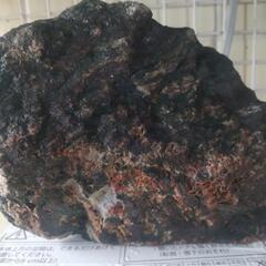 日本の自然の美！菊花石