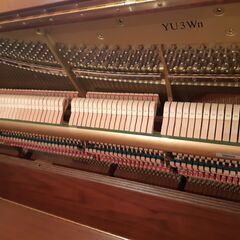 中古ピアノ　ヤマハ　アップライト　YU30Wn　調律師の工房より