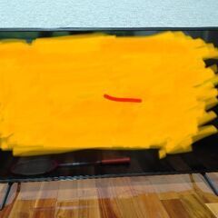 取引中!　50型デジタルハイビジョン　 Wチューナー液晶テレビ