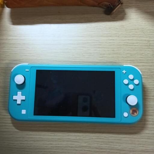 半年　ほぼ使用してません　Switch　Lite　どうぶつの森　使用