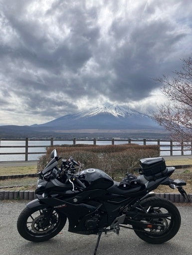 ワンオーナー・スズキGSX250R_2021年式_1.5万キロ ワンオーナー・スズキGSX250R_2021年式_1.5万キロ