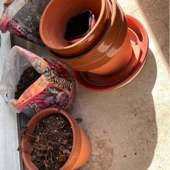 家庭菜園　植木鉢と土