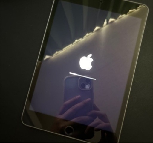 iPad iPad mini4