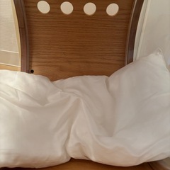 MY ZOO 宇宙船置き型猫ベット