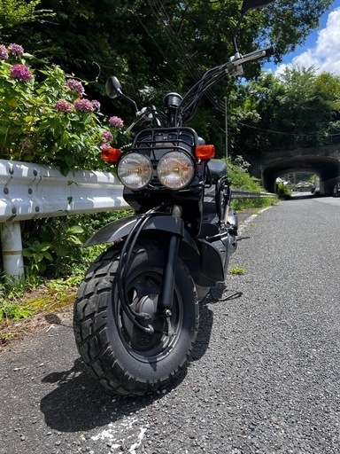 ホンダ　ズーマーHONDA ZOOMER書類有り 乗って帰れる準備も可能