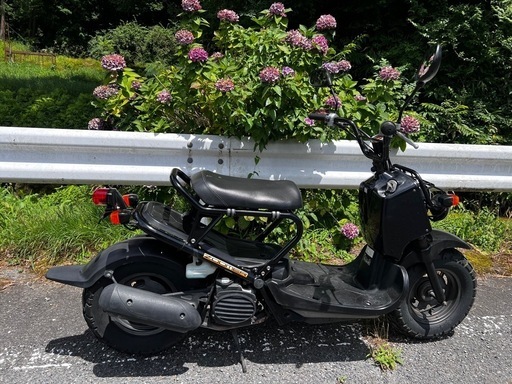 ホンダ ズーマーHONDA ZOOMER書類有り 乗って帰れる準備も可能