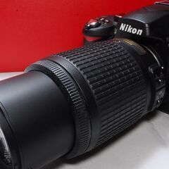 ★静寂な美をとらえる★NIKON D60レンズキット★オマケ付き★