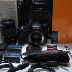 ★静寂な美をとらえる★NIKON D60レンズキット★オマケ付き★