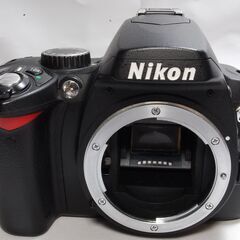 ★静寂な美をとらえる★NIKON D60レンズキット★オマケ付き★