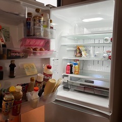 TOSHIBA 大型冷蔵庫 500L以上(3月29日-30日手放せます) TOSHIBA 大型冷蔵庫 500L以上(3月29日-30日手放せます) 冷蔵庫・冷凍庫