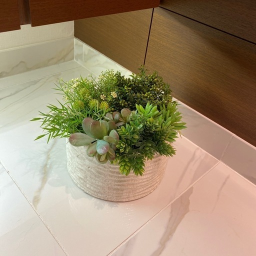 インテリアグリーン　鉢植え