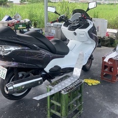 値下げMF08フォルツァ