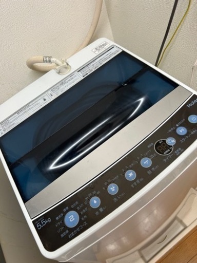 家電 生活家電 洗濯機