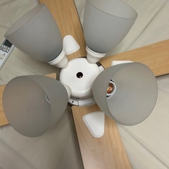 照明　ファン付き　