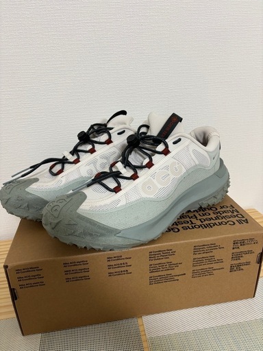 その他 NIKE ACG MOUNTAIN FLY 2 LOW