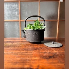 ○正壽堂 正寿堂 桜紋 鉄瓶 鉄茶瓶 鉄器 煎茶道具 茶道具 茶器 急須 