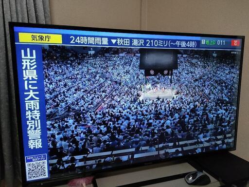 Panasonic TH-49D305　プチジャンク