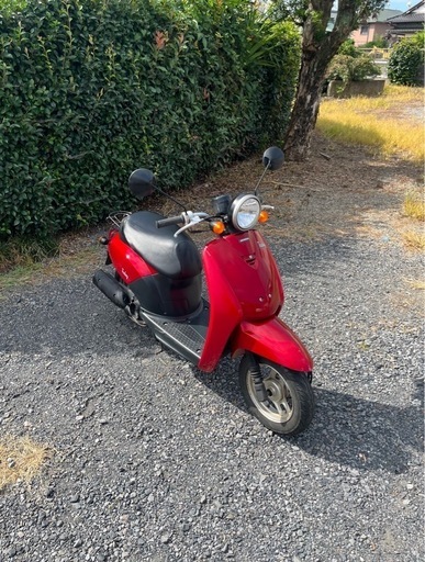 862.　動画あり　ホンダ　トゥデイ AF61 原付　バイク　50cc   車体 862. 動画あり ホンダ トゥデイ AF61 原付 バイク 50cc 車体