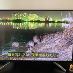 SONYソニー49型4K液晶テレビ KJ-49X8500F 