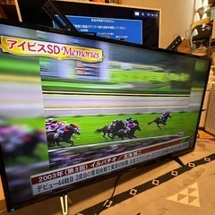 限定値下げ FUNAI 4K対応 液晶テレビ 43インチ FL-43U3040 2021年製